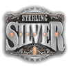 Sterling Silver Tragamonedas 3D